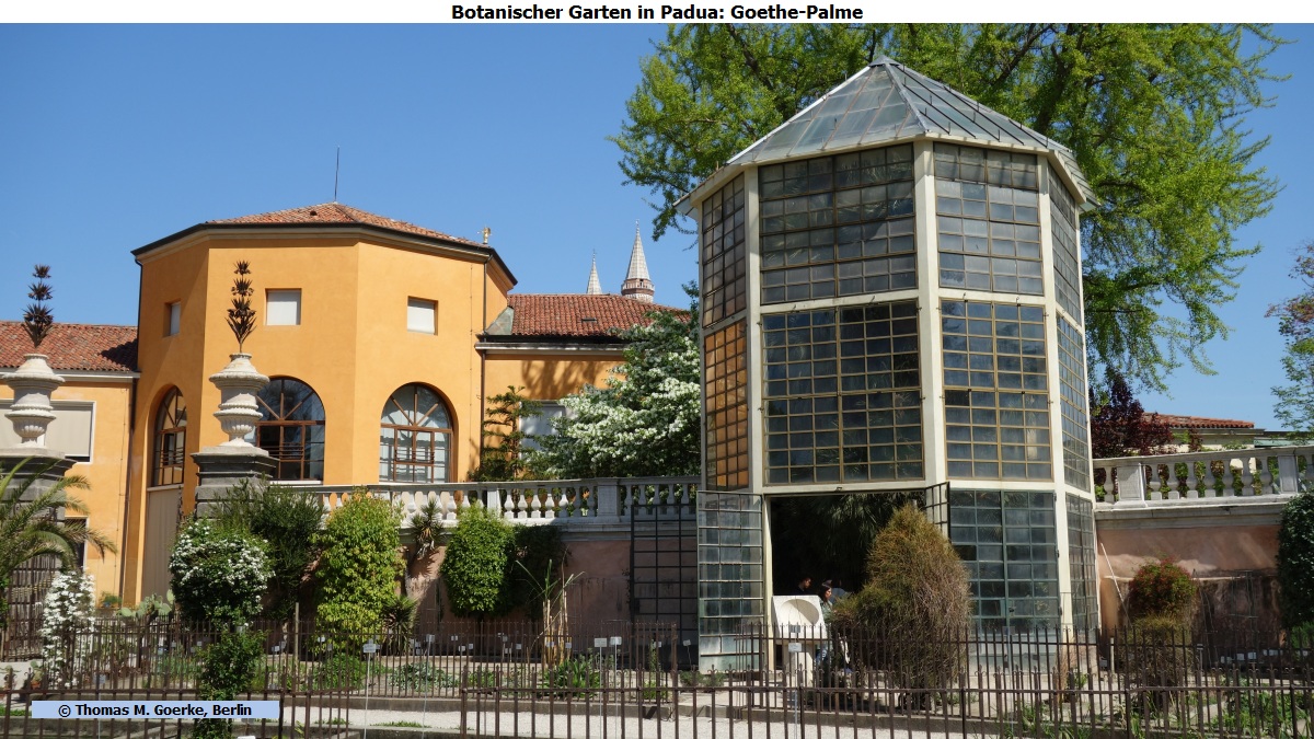 Thomas M Goerke Unesco Welterbe Botanischer Garten Von Padua